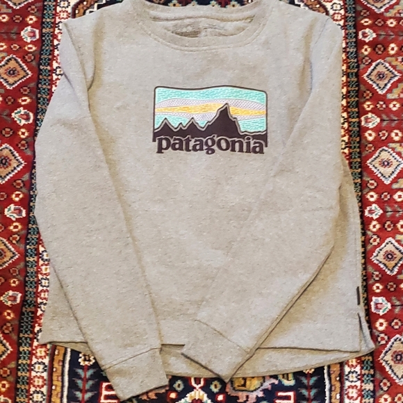 Patagonia Heather Gray Long Sleeve with Mountain Graphic. Sz Small. Regular Fit - Picture 1 of 8